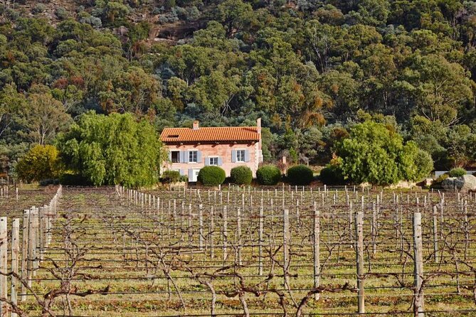 Sydney to Hunter Valley Wine Tour | Gin, Lunch, Chocolatier Visit - How the day stays relaxed: timing, group size, and comfort