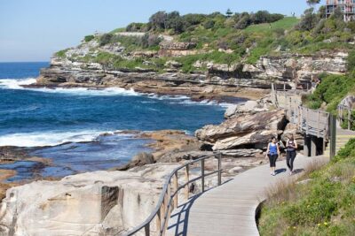 Sydney Uncovered Full-Day Private Tour - Hotel pickup to scenic drive: how you’ll spend less time commuting