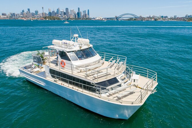 Sydney Whale Watching Adventure Cruise - Key things I’d circle before you book