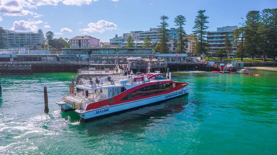 Sydney: Whale Watching & Hop On Hop Off Cruise Package - Who should book this package (and who should reconsider)