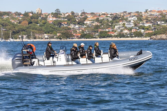 Sydney Whale Watching on Small RIB - Key highlights you should know