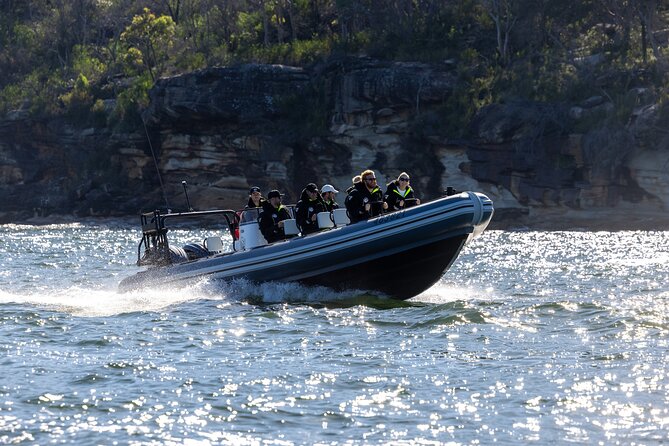 Sydney Whale Watching on Small RIB - Getting started at Campbells Cove in Circular Quay
