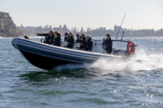 Sydney Whale Watching on Small RIB - Sydney Heads: the moment the ocean takes over