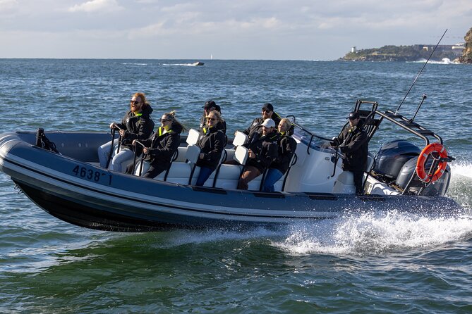 Sydney Whale Watching on Small RIB - The main event: the whale search area and what to watch for