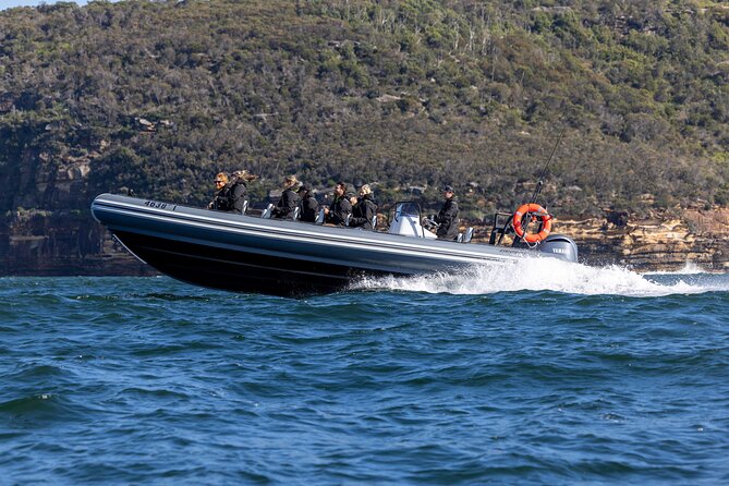 Sydney Whale Watching on Small RIB - The return run: a fast, scenic wrap-up from the water
