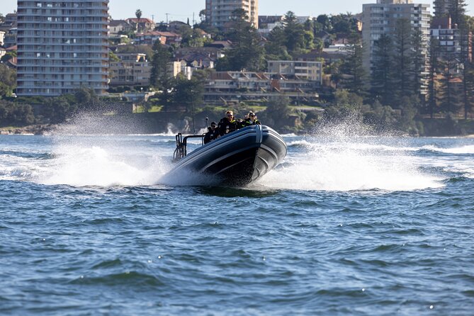 Sydney Whale Watching on Small RIB - Price and value: what $98.93 really buys you
