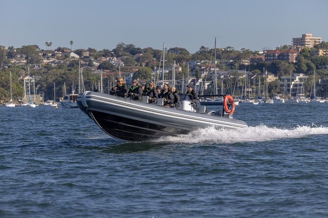 Sydney Whale Watching on Small RIB - Who should book (and who should think twice)
