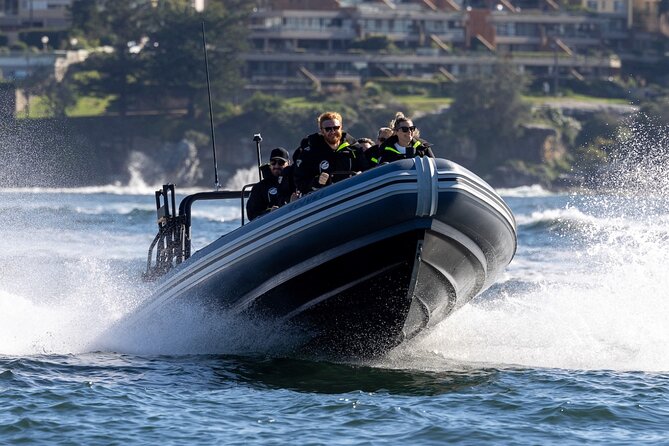 Sydney Whale Watching on Small RIB - Harbor landmarks on the way out: Fort Denison and Mrs. Macquarie’s Chair