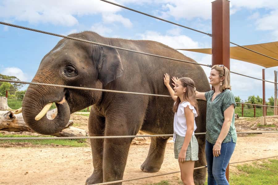 Sydney Zoo Admission Ticket - Getting there from Sydney: the transport math you should do