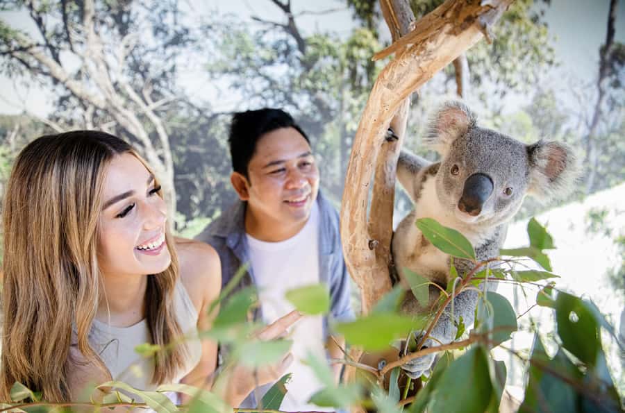 Sydney Zoo Admission Ticket - Primate Boulevard and south-east Asia animals: slow down for better sightings