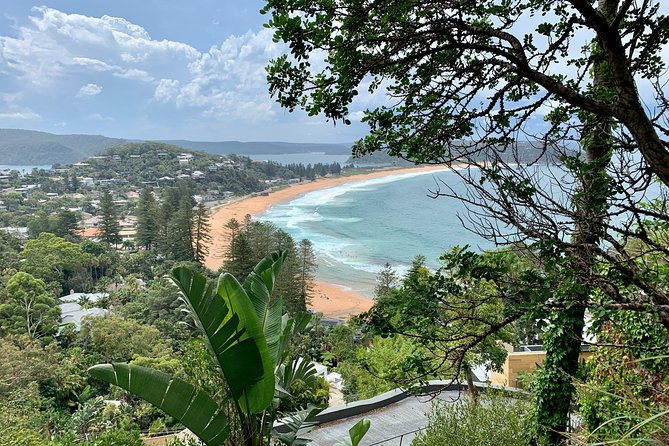 Sydney's Northern Beaches & Ku-ring-gai National Park Small Tour departing Manly - North Narrabeen: lakes, pelicans, and that rock pool moment