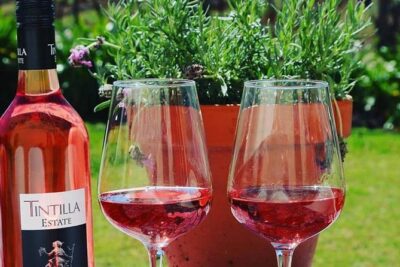 Tintilla Estate: Wine Tasting with a Meat and Cheese Platter - What Happens During the 60 Minutes: 8 Wines Plus a Mini Banquet
