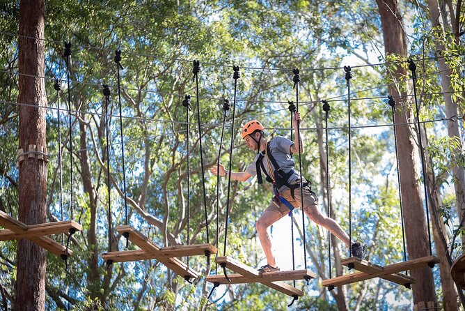 Treetops Adventure The Hills - Tree Ropes Course - Cumberland State Forest: a fast escape with serious fresh air