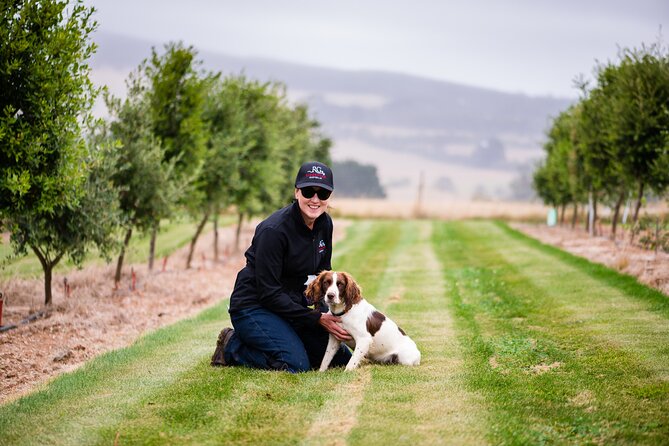 Truffle Hunt and Taste Experience in Oberon, NSW Australia - RedGround in Oberon: the setting and what you’re really paying for