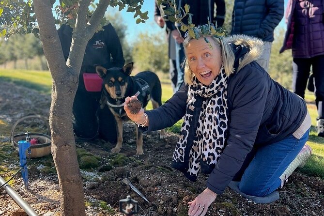 Truffle Hunt and Taste Experience in Oberon, NSW Australia - Price and value: $157.79 for a full farm hunt plus tastings