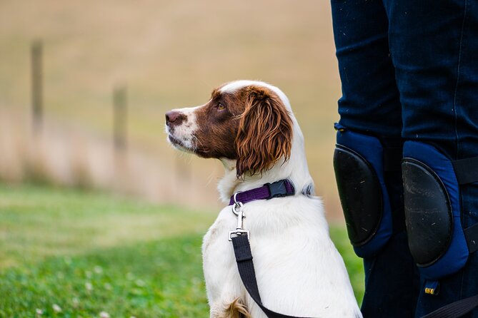 Truffle Hunt and Taste Experience in Oberon, NSW Australia - Who should book this truffle hunt and taste