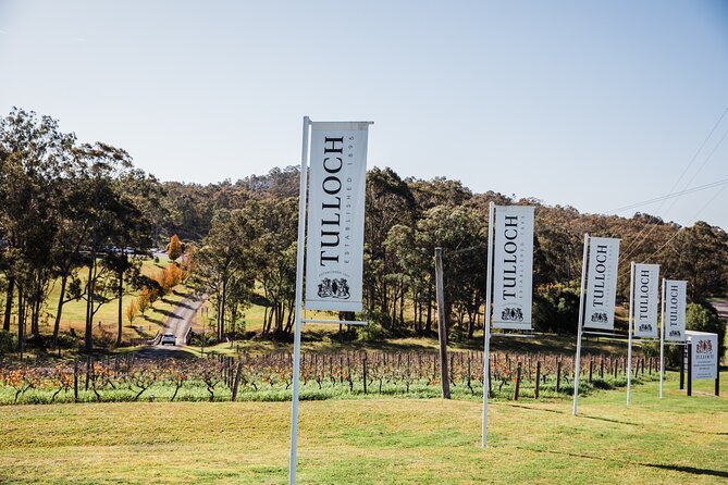 Tulloch Wines Hunter Heroes Wine Tasting with Local Cheese & Charcuterie Board - Price and wine-bottle reality: what $38.01 gets you