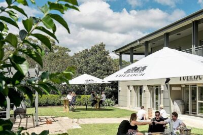 Tulloch Wines- Tasting of 6 Pokolbin Dry Red Shiraz Vintages with Charcuterie - How the 6 vintages comparison really helps (and who it’s best for)