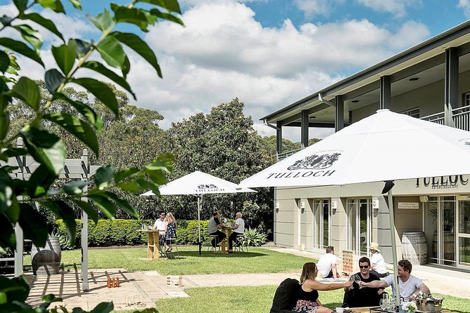 Tulloch Wines- Tasting of 6 Pokolbin Dry Red Shiraz Vintages with Charcuterie - How the 6 vintages comparison really helps (and who it’s best for)