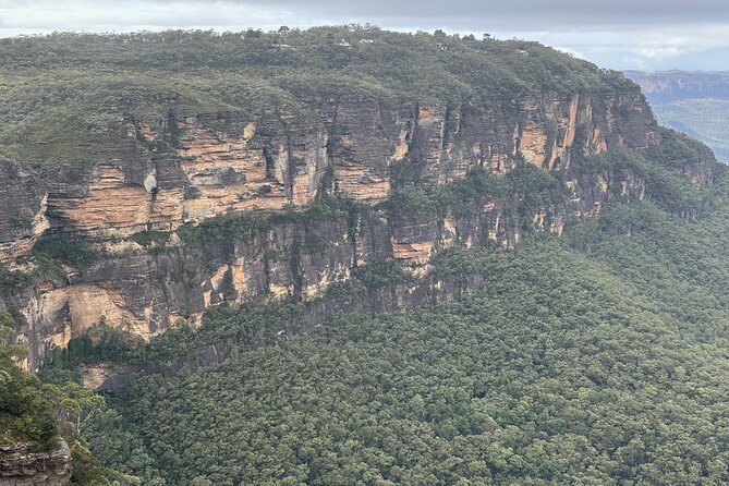 Ultimate All Inclusive Blue Mountains with Scenic World Tour - Sydney Harbour ferry back to Circular Quay: the relaxing closer