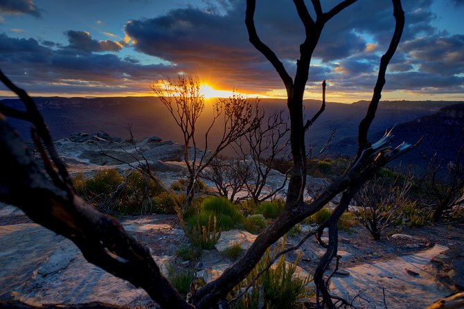 Ultimate Blue Mountains and Wildlife Tour - Key highlights at a glance