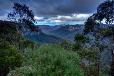 Ultimate Blue Mountains and Wildlife Tour - Wildlife spotting in Glenbrook: how the route boosts your chances