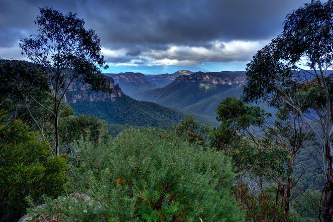 Ultimate Blue Mountains and Wildlife Tour - Wildlife spotting in Glenbrook: how the route boosts your chances