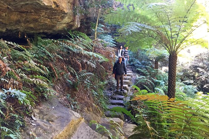 Ultimate Blue Mountains Private Tour with Scenic World and Wildlife Park - Price and value: what you get for $638.35 per person