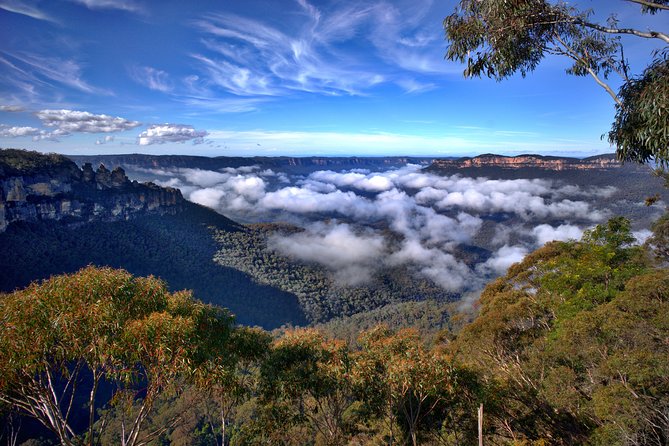 Unforgettable Blue Mountains Day Tour - Key things that make this Blue Mountains day tour worth your time