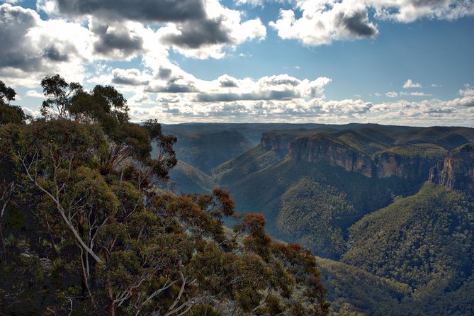 Unforgettable Blue Mountains Day Tour - Tea breaks, snacks, and the pace that keeps you sane