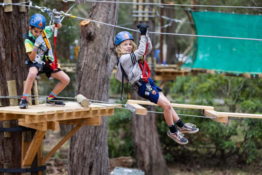 Western Sydney: Junior Tree Ropes Courses - Western Sydney Parklands treetop play: what you’re actually buying