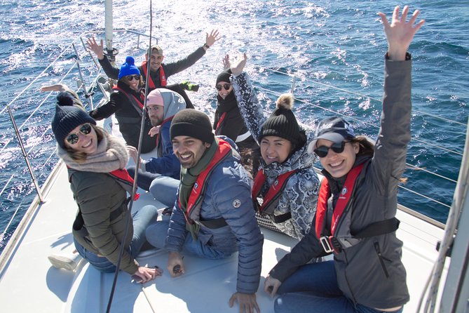 Whale Watching Sailing Experience in Sydney - Sydney Harbour to Port Jackson: the scenic warm-up before whale territory