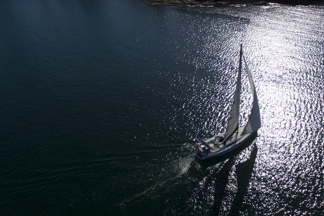 Whale Watching Sailing Experience in Sydney - Small-group sailing with a cap of 12: what that changes for you